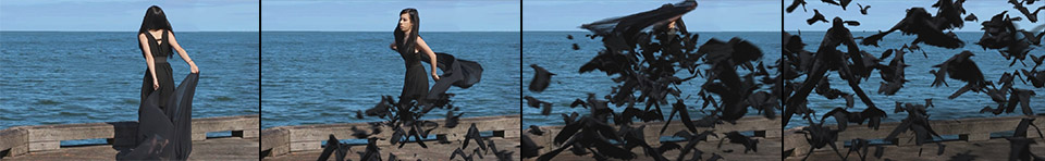 Dissolve Into Crows VFX Part 2 15 - Final Effect