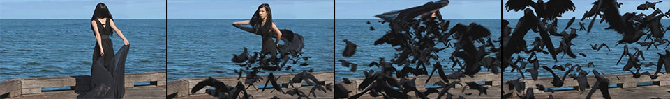 Dissolve Into Crows VFX Part 2 7 - Crow Dissolve Animation