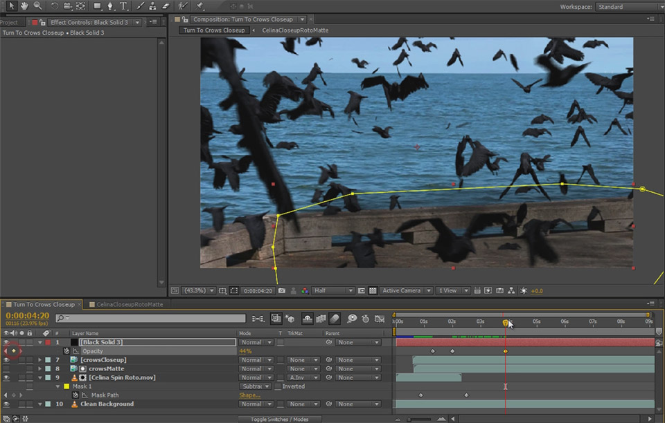 Dissolve Into Crows VFX Part 2 8 - Crow Murder Shadow