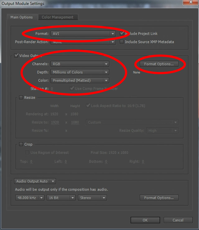 How To Export From After Effects 06 - Output Module Settings