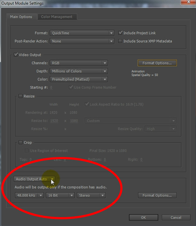 How To Export From After Effects 09 - Export Audio