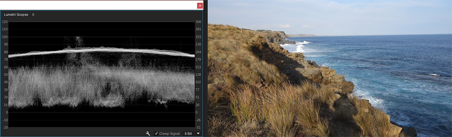 waveform- monitor and philip island australia